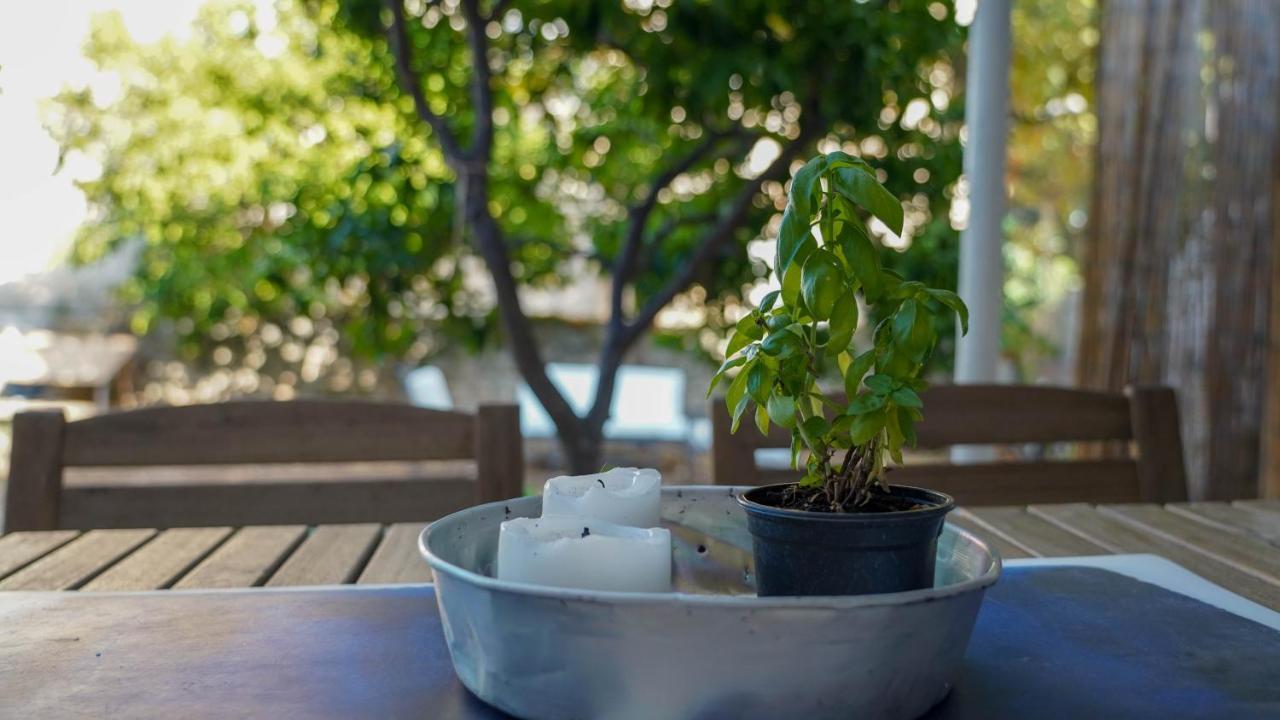Charming Two-Bed Apartment Orange Garden Sutivan Esterno foto