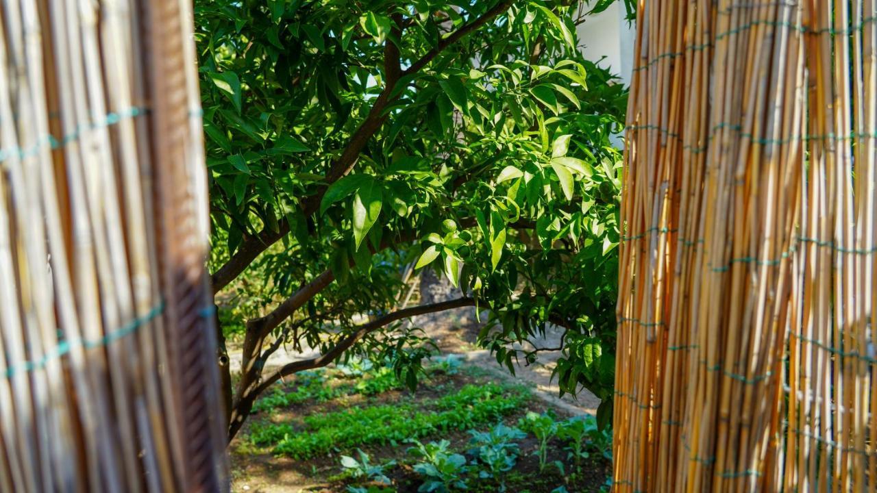 Charming Two-Bed Apartment Orange Garden Sutivan Esterno foto